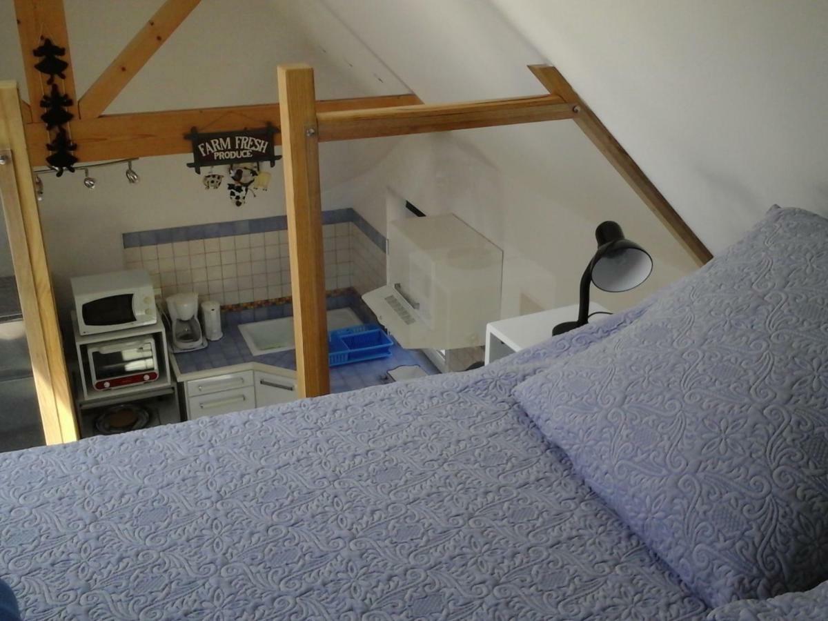 Les Hauts De Kerdrein Villa Saint-Jean-du-Doigt Екстериор снимка